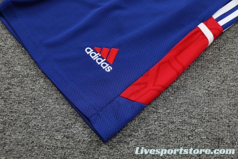 23-24 Bayern Munich Red/Blue Vest Jersey+Shorts